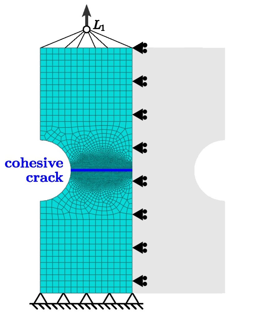 double-edged notch test finite element model Abaqus